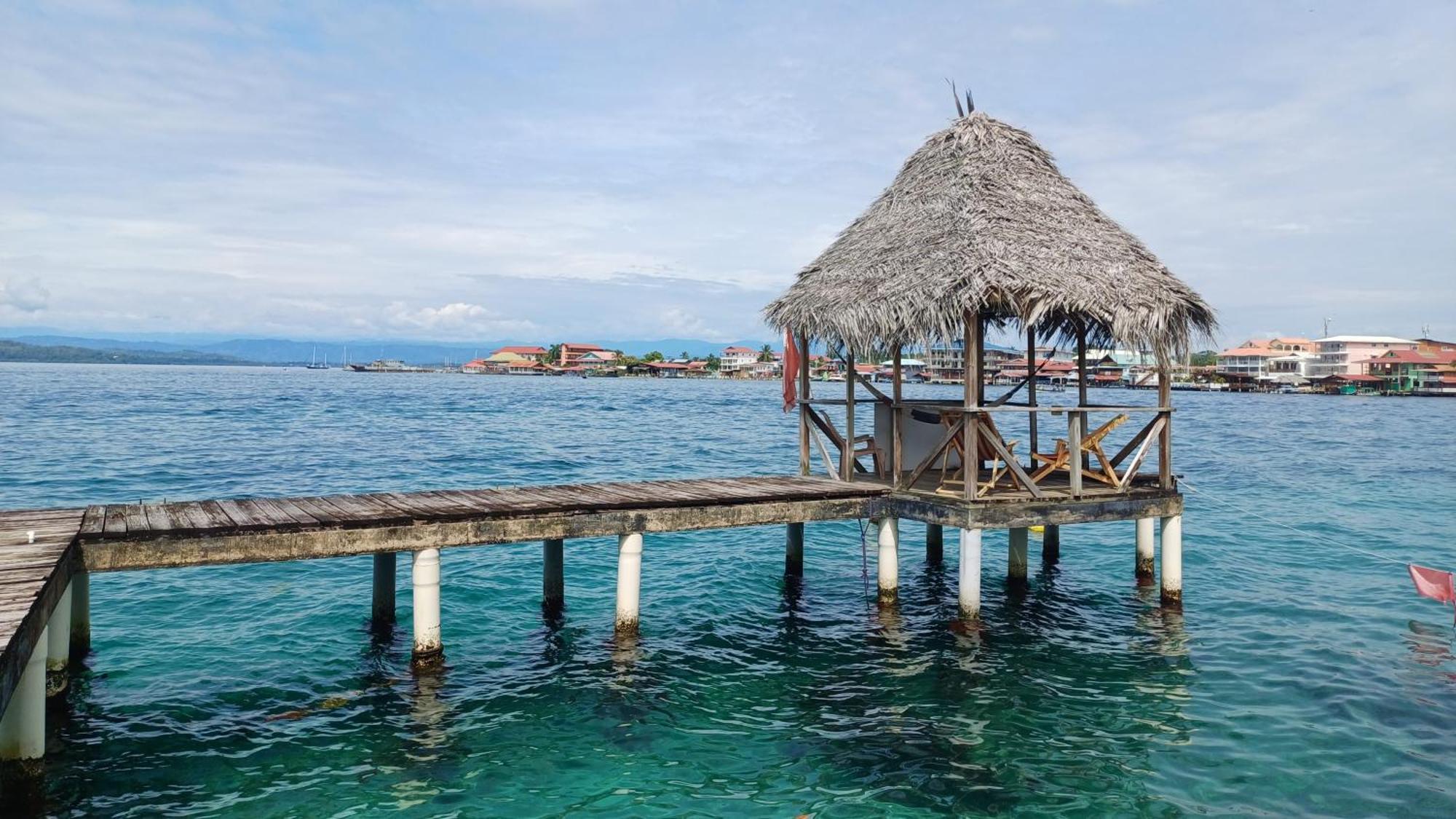 Dive And Surf 1 * Bocas Town