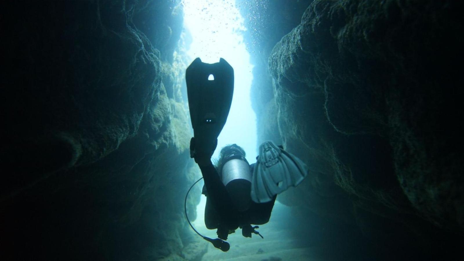 Dive And Surf 1 Bocas Town
